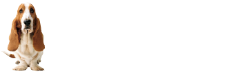 Hush Puppies